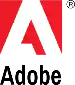 Adobe-Solution-Partner-min_11zon
